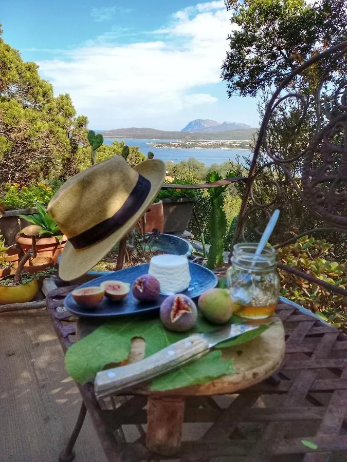 Villa Khepri Porto Rotondo
